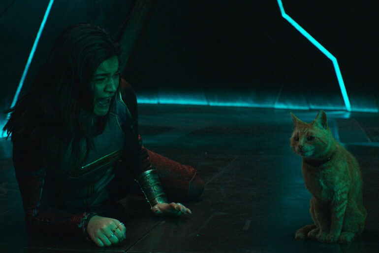 Goose 'The Marvels' Marvel Studios